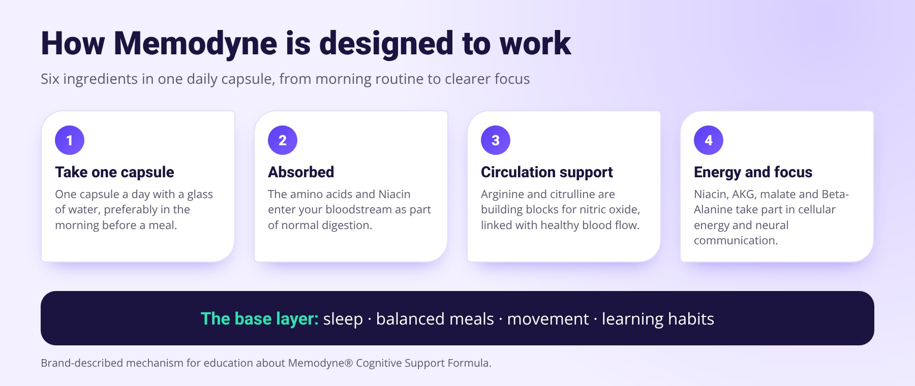 Infographic: take one Memodyne capsule daily, ingredients are absorbed, they support circulation, and they support cellular energy and focus